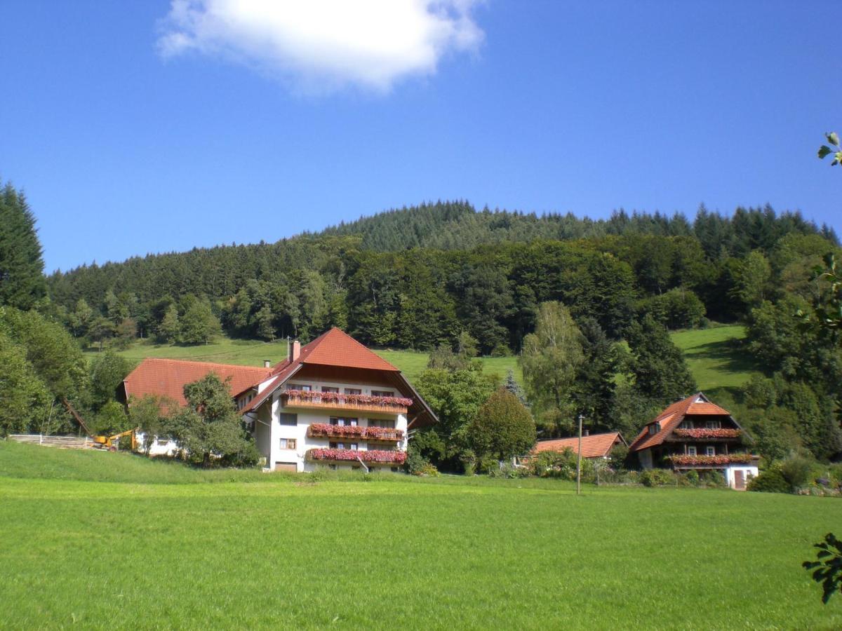 Апартаменты Geigerbauernhof Muehlenbach Экстерьер фото
