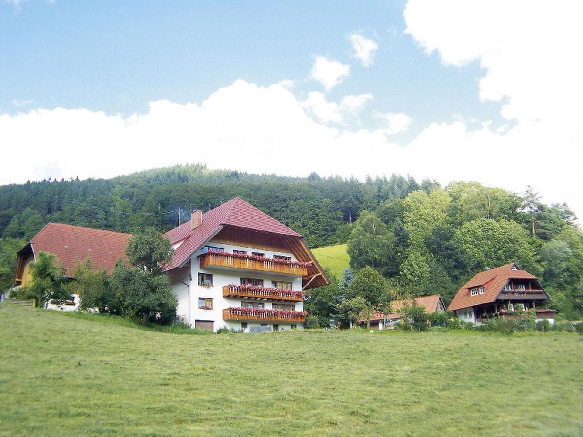 Апартаменты Geigerbauernhof Muehlenbach Экстерьер фото